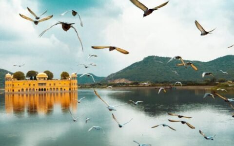Jaipur Trip From Delhi