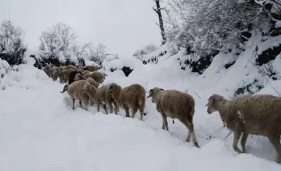 Kuari Pass Trek